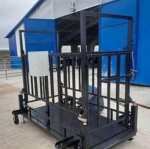 Весы для животных передвижные