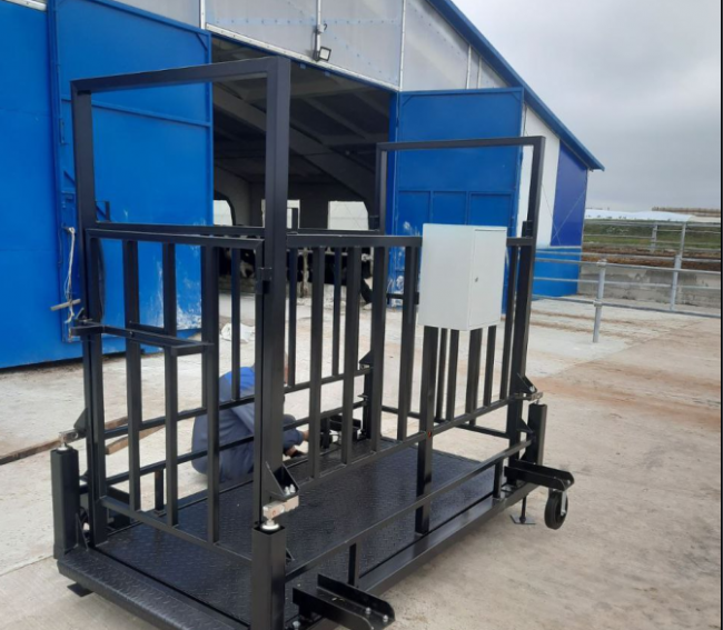 Весы для животных передвижные